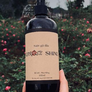 Nước gội KAROSE SHINE