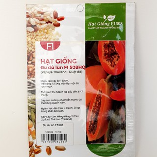 Hạt giống đu đủ lùn