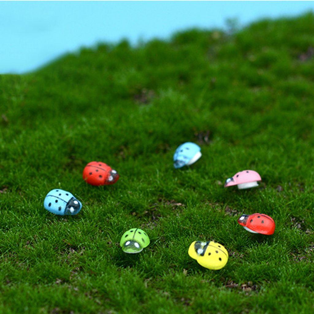 Set 20 Bọ Rùa Mini Trang Trí Tiểu Cảnh