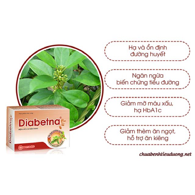 Diabetna - Hỗ trợ điều trị bệnh tiểu đường, ổn định đường huyết