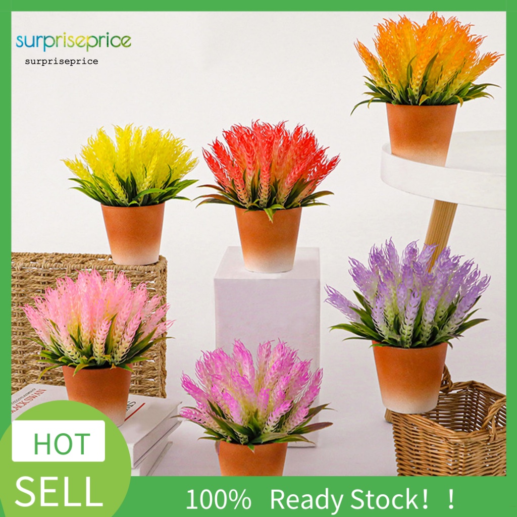 Chậu Cây Lúa Mì Nhân Tạo 6 Màu Độc Đáo Trang Trí Nhà Cửa / SPA