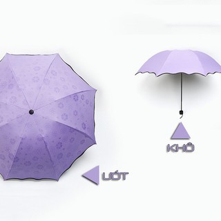 Ô dù  ☔☔ ma thuật gặp nước nở hoa ☔☔