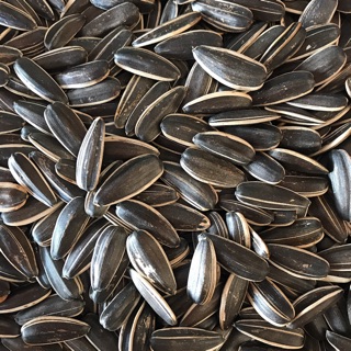 Hạt hướng dương 500g