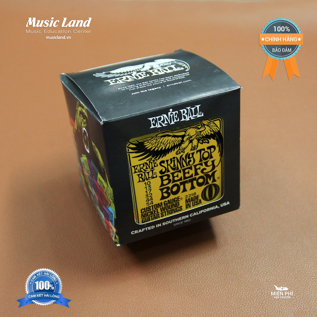 Dây Đàn Guitar Điện Ernie Ball 2216 – Chính Hãng