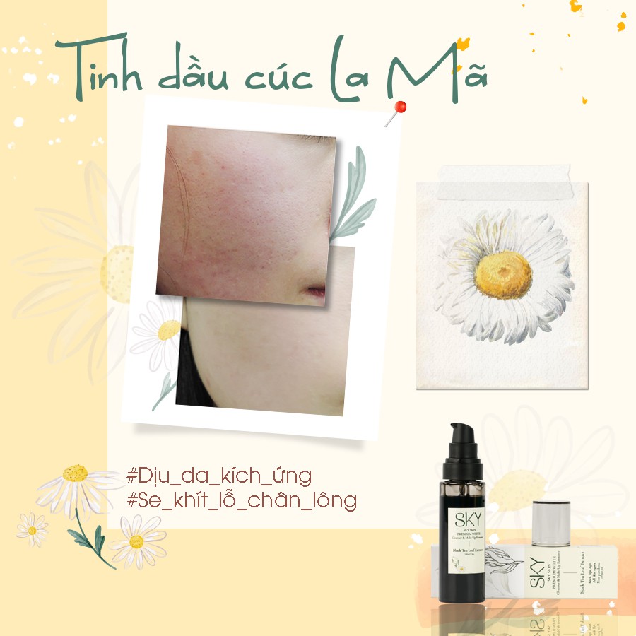 Sữa Rửa Mặt Trà Đen SKY USA + Tặng Khăn Giấy Tẩy Trang Farm Skin + 2 Mask Cá Tầm | BigBuy360 - bigbuy360.vn