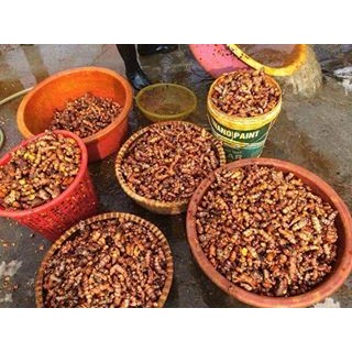 TINH BỘT NGHỆ NGUYÊN CHẤT
