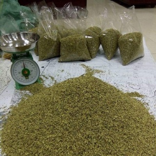 1kg Hoa hoè khô thái bình của nhà trồng đảm bảo sạch  thơm ngon