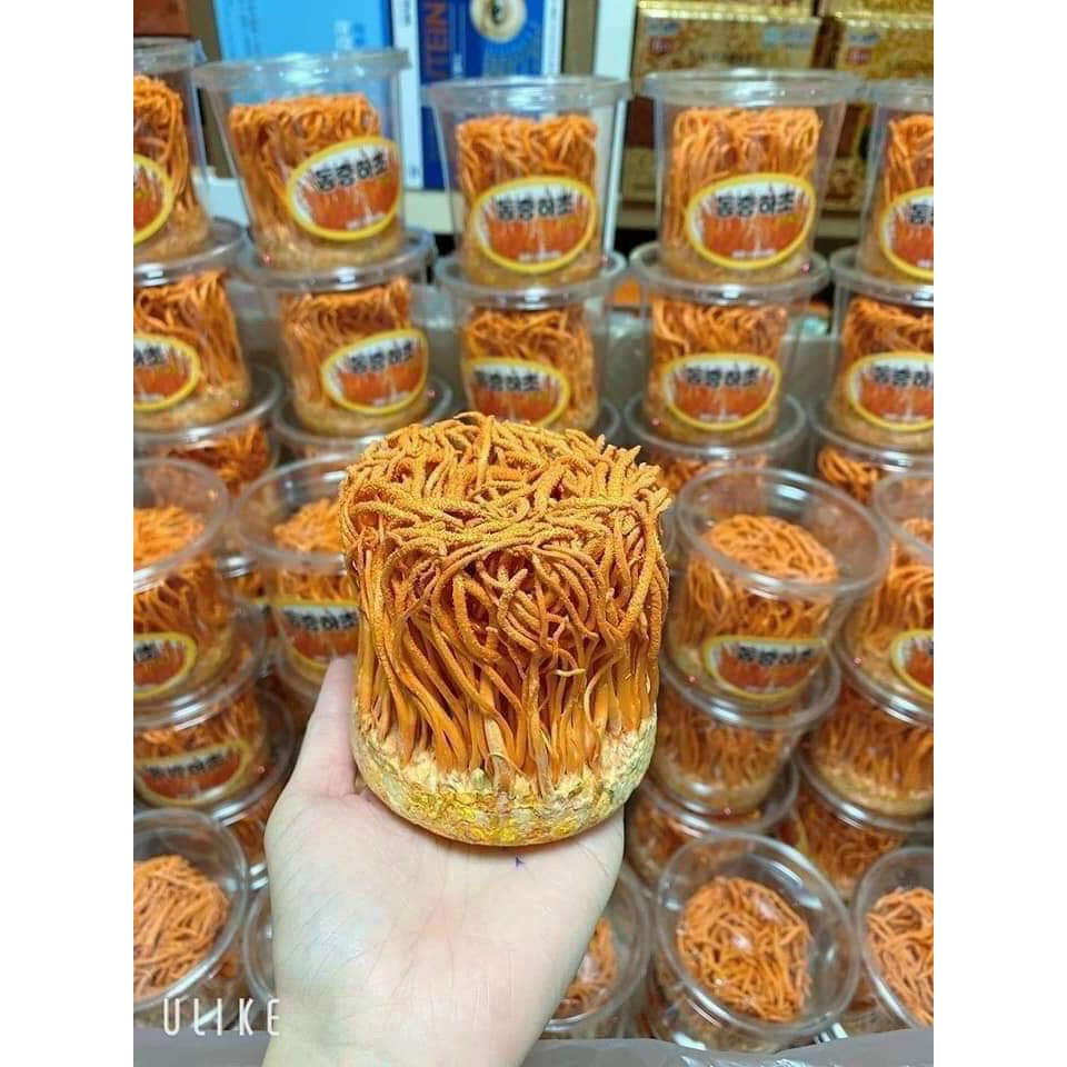 NẤM ĐÔNG TRÙNG HẠ THẢO 💕THƯỢNG HẠNG💕 NẤM HÀN QUỐC 40G | BigBuy360 - bigbuy360.vn