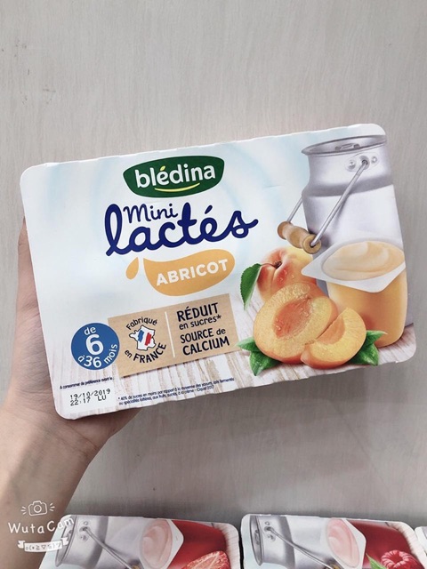 Sữa chua Bledina Pháp đủ vị date T05/2024