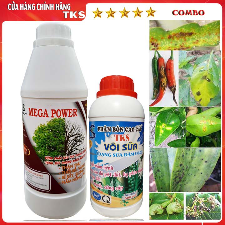 Phòng Trừ Bệnh Thán Thư, Vàng Lá, Rỉ Sắt, Phấn Trắng, Bã Trầu-MEGA POWER  Và VÔI SỮA