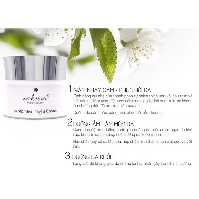 Kem dưỡng phục hồi da, làm chậm quá trình lão hóa ban đêm Sakura Restorative Night Cream