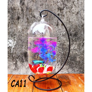 Bể cá mini để bàn treo khung đen