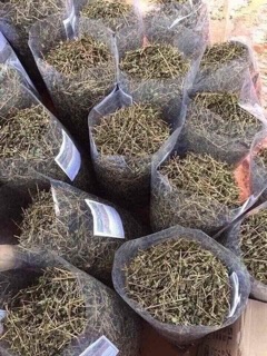 1kg CÀ GAI LEO
