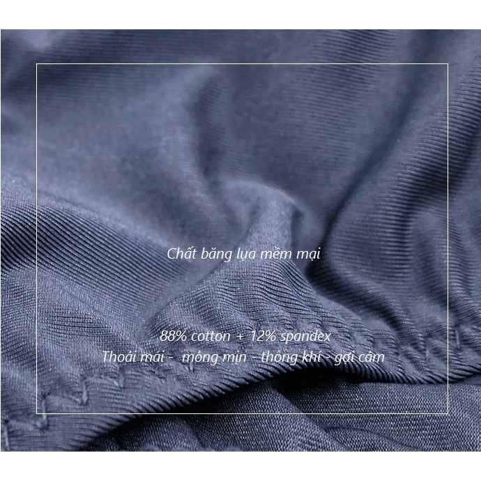 Quần Lót Lọt Khe Lụa Băng Cao Cấp Phong Cách Âu Mỹ P437