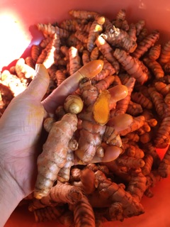 Tinh bột nghệ nhà làm