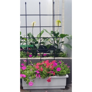  Khung trồng cây rộng 60 cao 120cm khung đa năng cuộn tròn làm bộ khung tròn giàn leo 