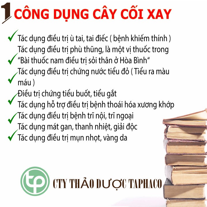 Cây cối xay khô - Thảo dược Tấn Phát
