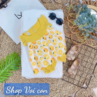 Bộ đũi bé gái