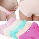 Combo 5 quần lót bầu