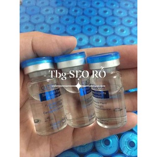 Tế   Bào   Gốc  Cutiscura