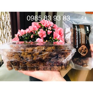 Nho khô nguyên cành Úc