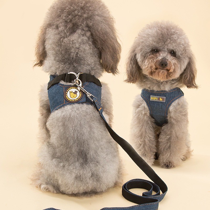 Combo áo jean+dây dắt thú cưng, dây dắt chó mèo