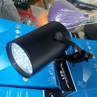 ĐÈN RỌI RAY 12W