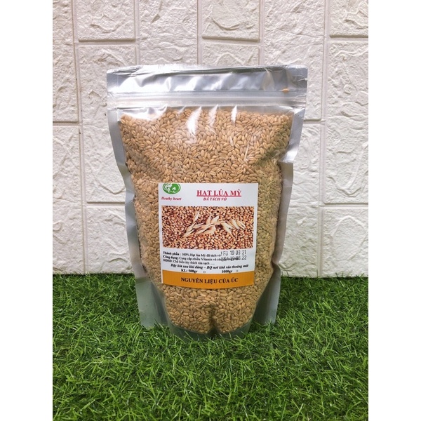 Hạt Lúa mỳ 1kg - giống cỏ lúa mỳ Úc