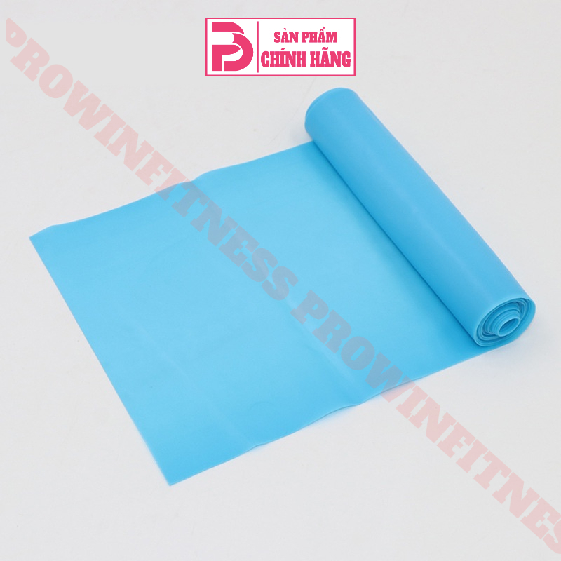 Dây tập cao su đàn hồi tập Yoga Gym cao cấp Prowin Fitness
