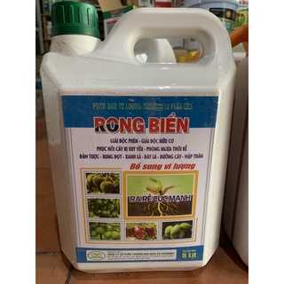 Rong biển can 5lit