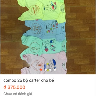 combo 25 bộ dài tay carter