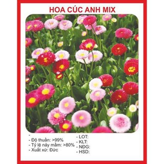 Combo hạt giống 890k