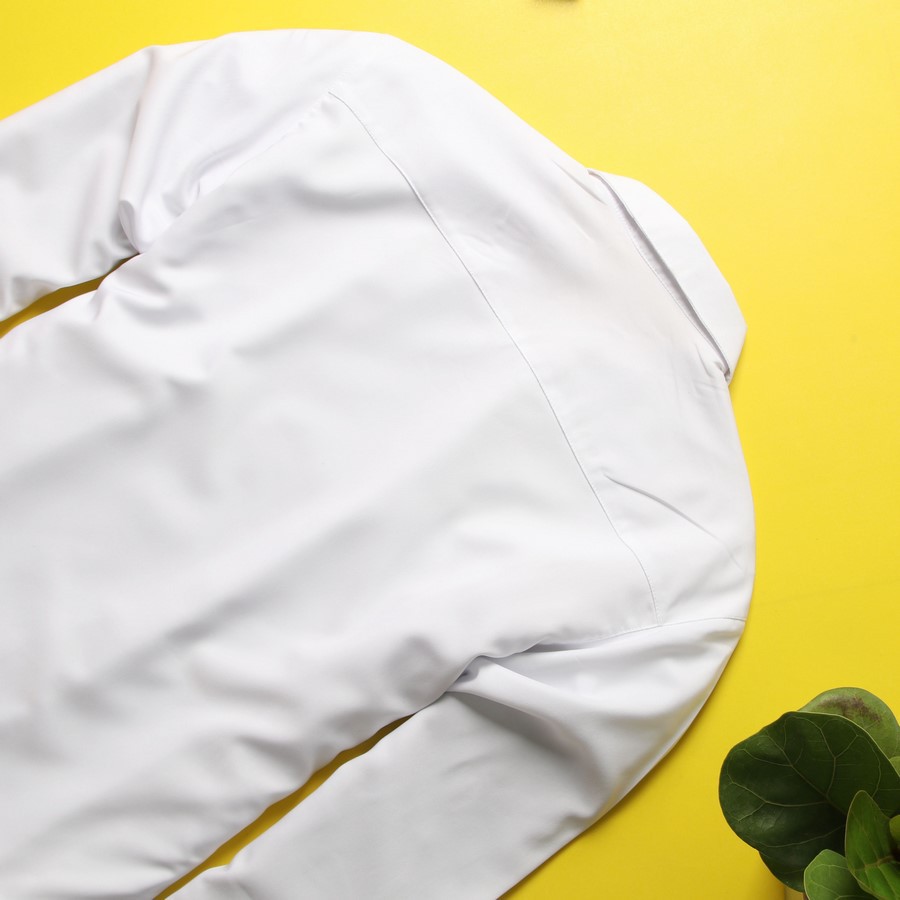 Áo sơ mi trắng in hình chim co giãn DD404 shopdichdich