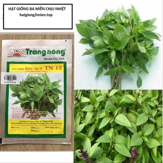 Gói 10gram hạt giống rau quế lá lớn trang nông