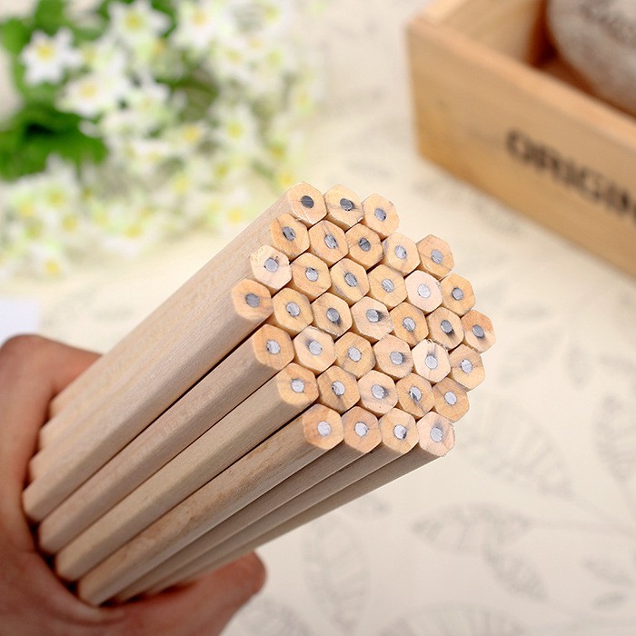 Set 10 bút chì HB bằng gỗ tự nhiên không độc hại