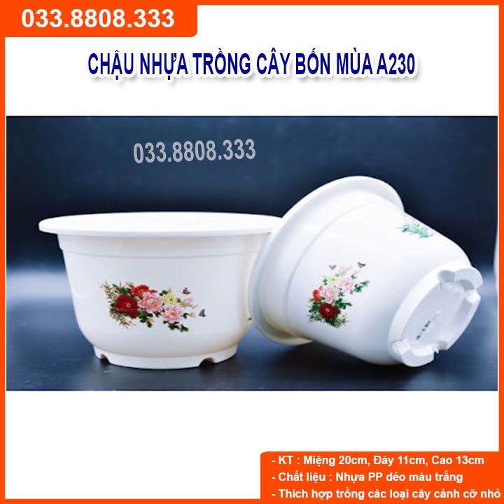 5 Chậu Nhựa Bốn Mùa A250  -Chậu Tròn Trắng Trồng Hoa Cây Cảnh