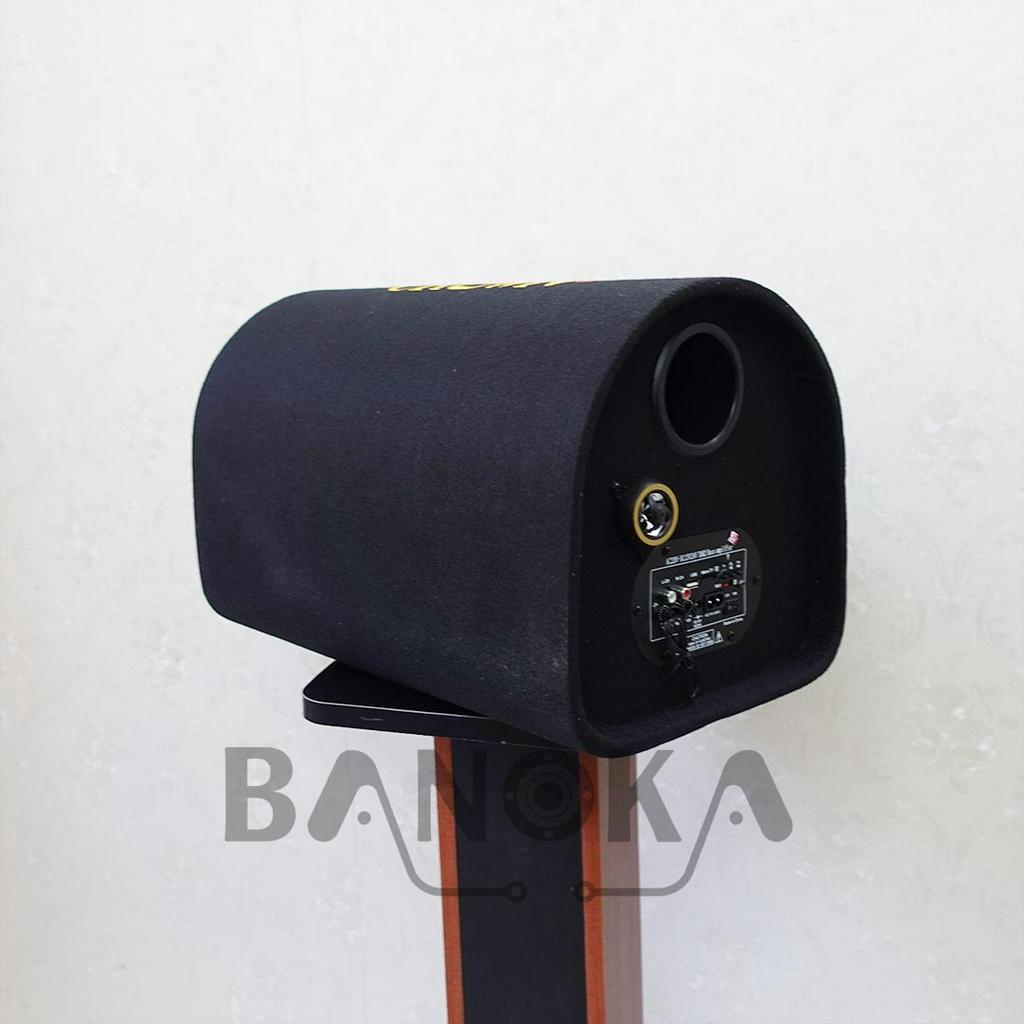 Loa crown số 10 dạng ống bass 25cm, kết nối bluetooth, AUX, Công suất 200w - Bảo hành 6 tháng
