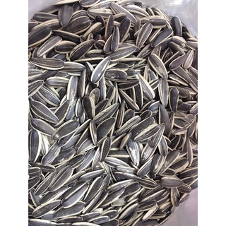 1 gói 50g hạt hướng dương vị dừa chacha.