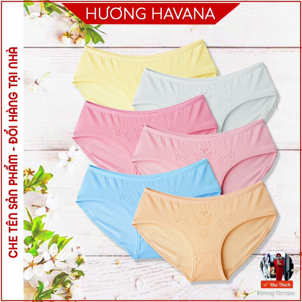 Set 5 Quần lót nữ HAVANA thông hơi màu trơn dập họa tiết nổi bướm xinh FLQ52