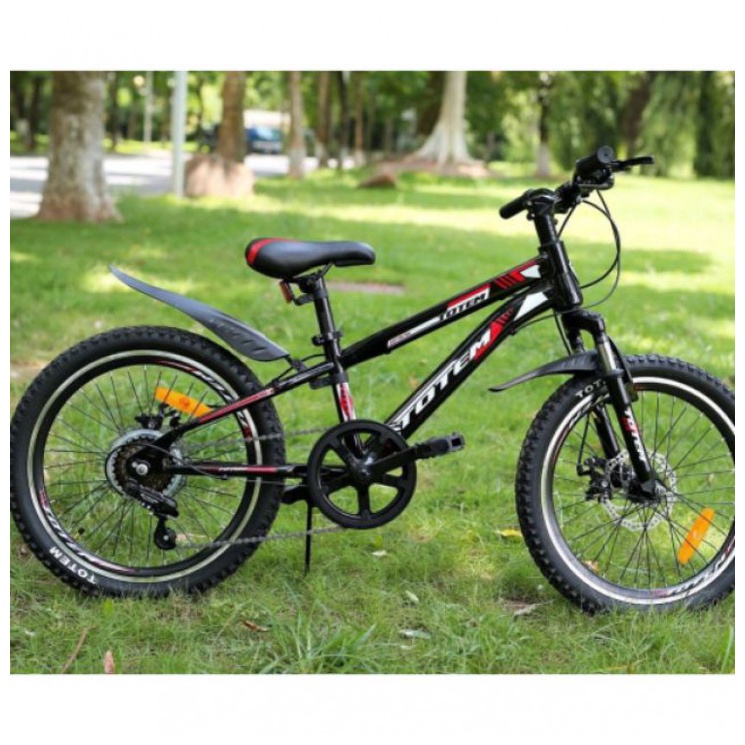 Xe đạp địa hình cho bé 6 đến 8 tuổi TOTEM 719 - 20''