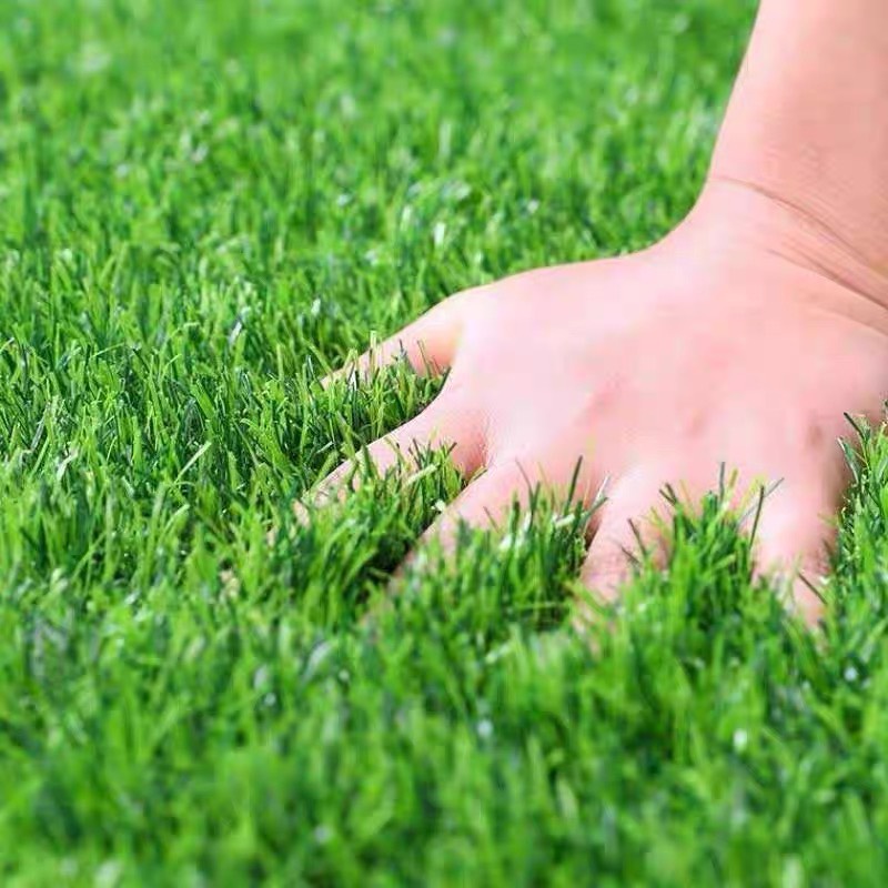 1m2 Thảm Cỏ Nhân Tạo Cao 2cm Lắp Ban Công Sân Vườn - Tấm thảm cỏ lót sân chơi ngoài trời siêu bền đẹp giá rẻ