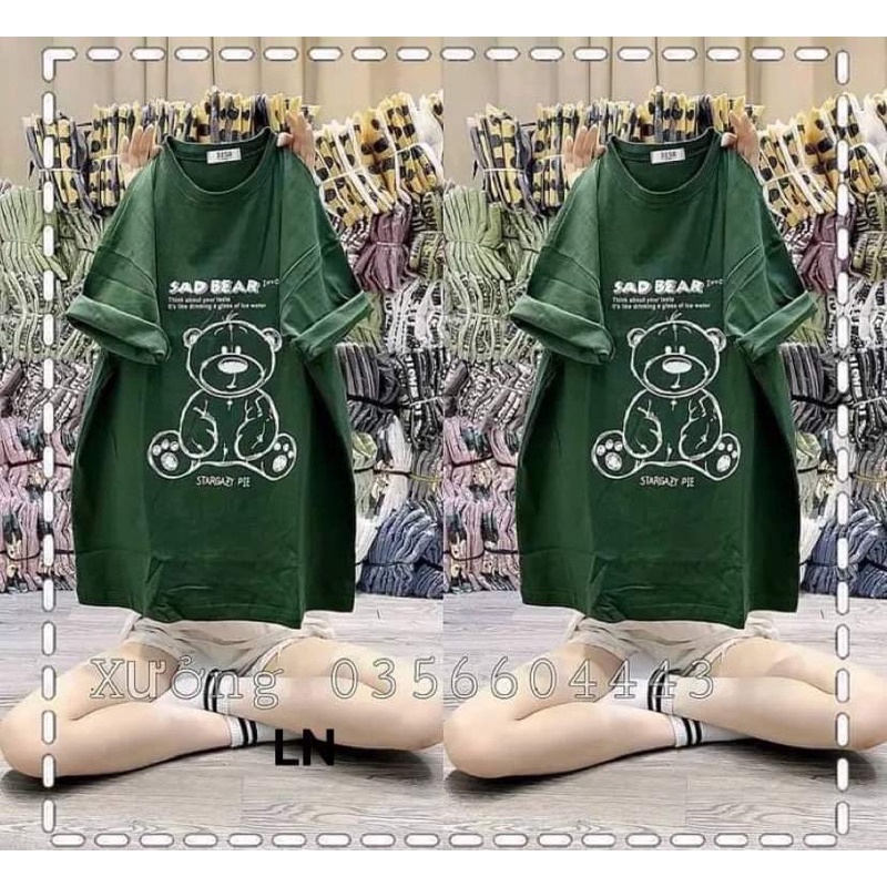 Áo phông gấu SAD BEAR DA6