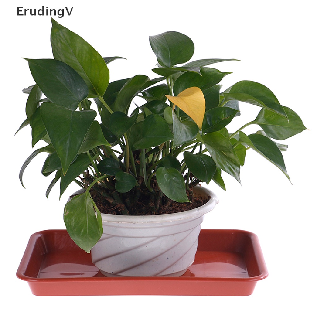 [ErudingV] Khay Nhựa pp Hình Chữ Nhật Để Chậu Hoa Tiết Kiệm Nước