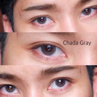 Kính Áp Tròng CHADA GRAY - BROWN ( contact lens )
