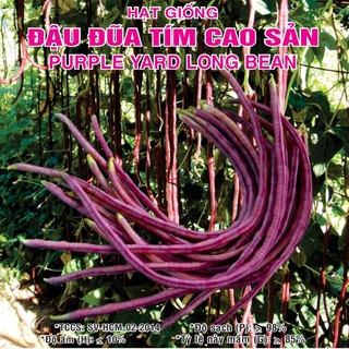 Hạt giống Đậu Đũa Tím Cao Sản (Da Tím) (10g)