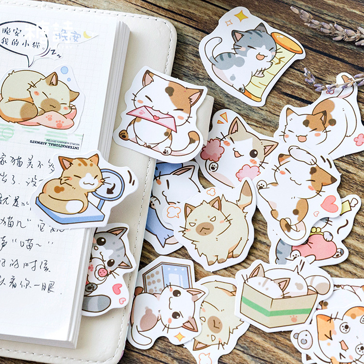 Set 50 Sticker Dán Trang Trí Hình Mèo Con Xinh Xắn