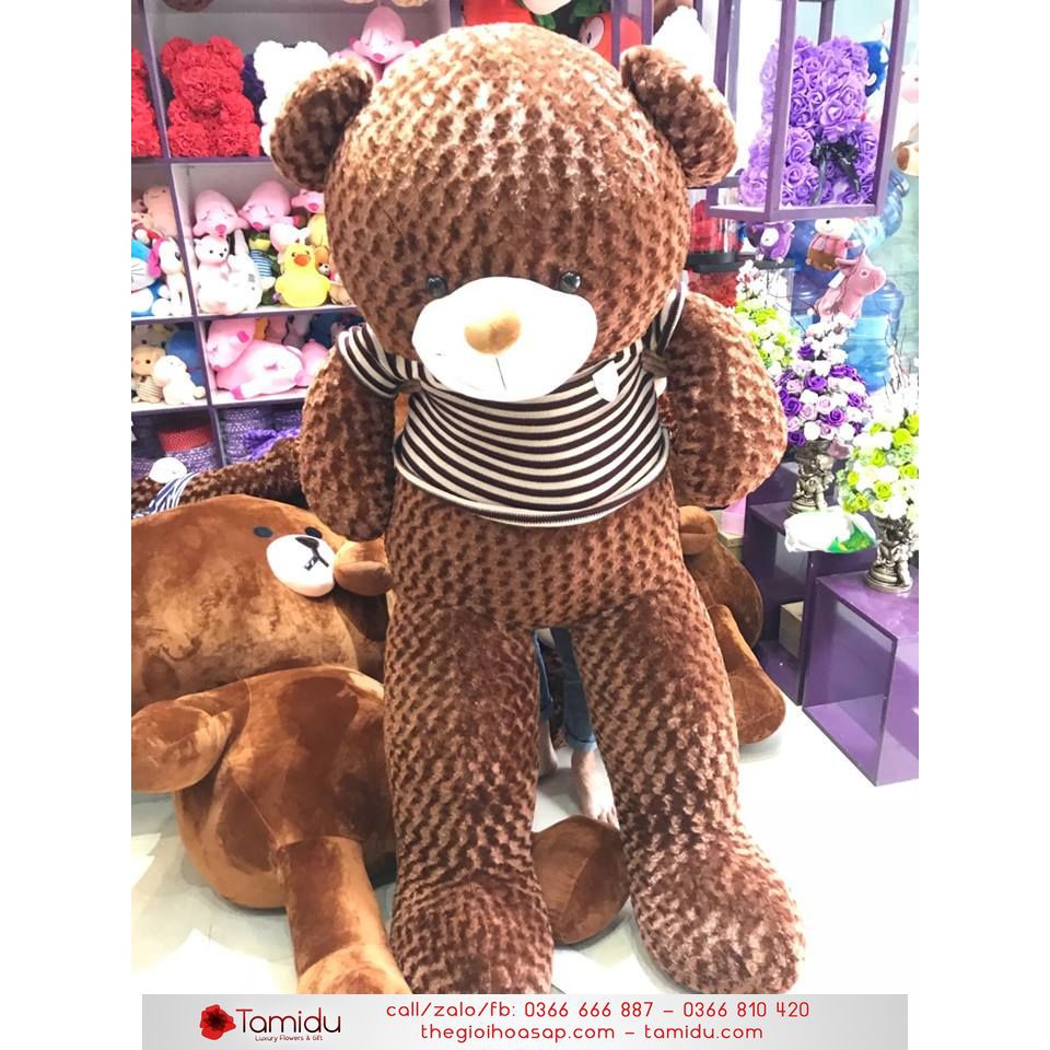 Gấu Teddy 1M Giá Siêu Rẻ