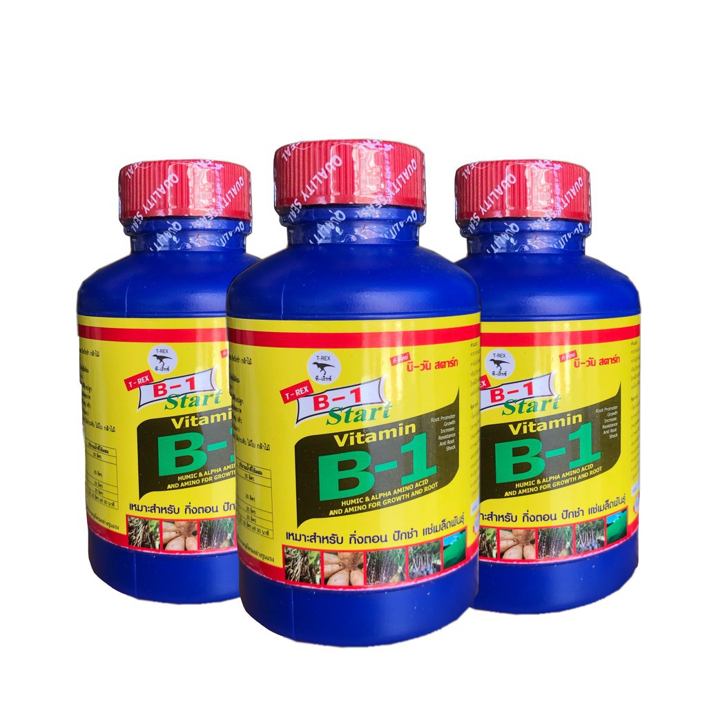 Vitamin b1 thái lan