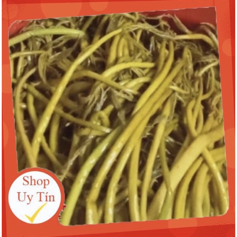 Rau móp nhà trồng