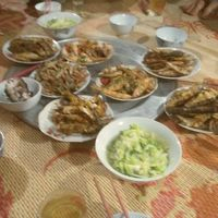 DoMyKieu644680